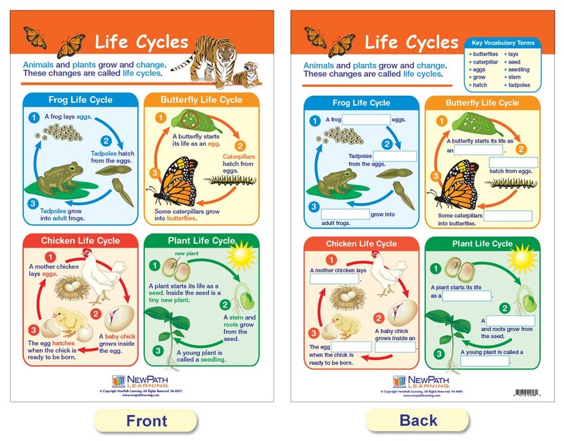 New Path Learning NewPath Learning-94-1501 All About Animals Bulletin Board Chart Set (Pack of 5) - Image 4